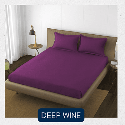 Neev 100% Cotton Plain Queen Fitted Bedsheet with 2 Pillow Covers (400 TC)