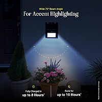 Motion Wall Light 6009