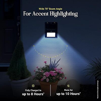Motion Wall Light 6009 Motion Wall Light 6009