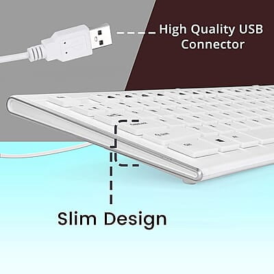 Zebronics DLK01 (White) Wired Keyboard