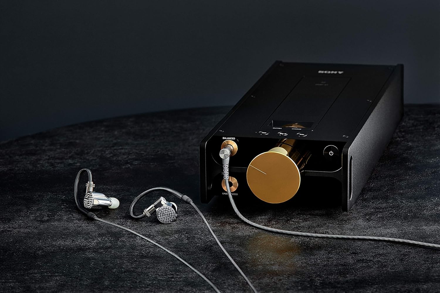 Sony IER-Z1R Signature Series in-Ear Headphones (IERZ1R),Black/Silver Sony IER-Z1R Signature Series in-Ear Headphones (IERZ1R),Black/Silver