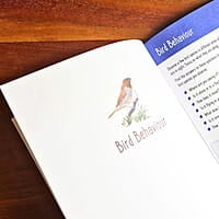 Young Birders' Activity Booklet Young Birders' Activity Booklet