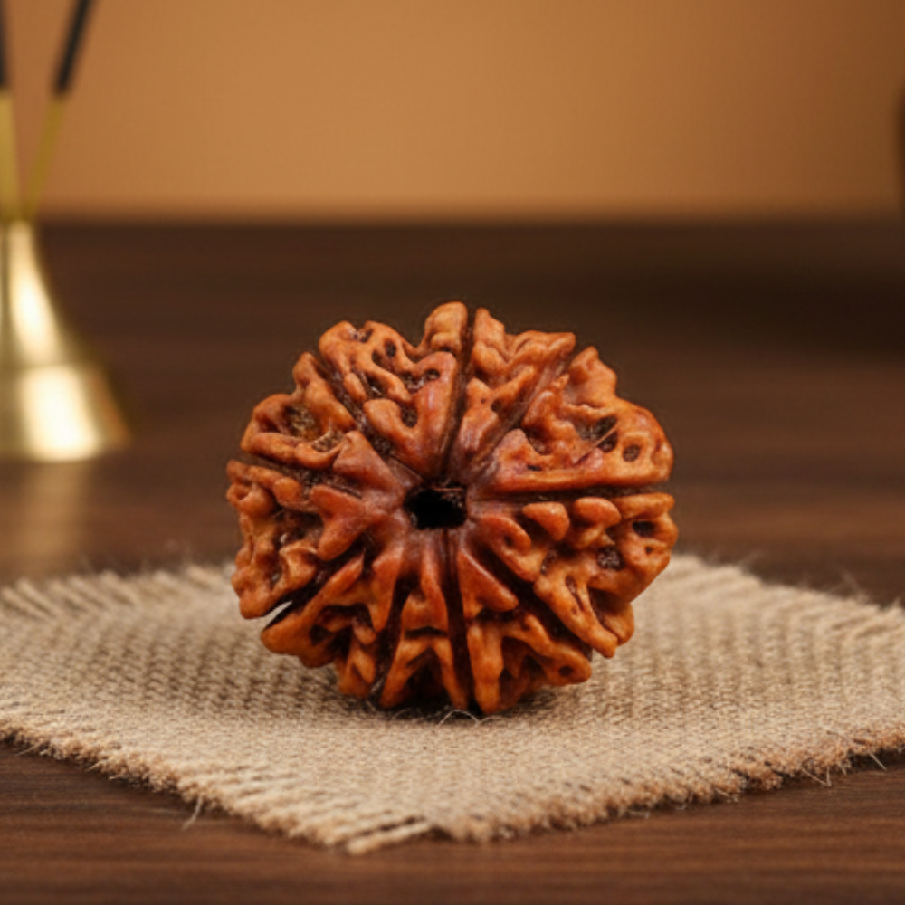 9 Mukhi Rudraksha – Natural & Certified