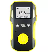BH-90A-H2S 0-100PPM