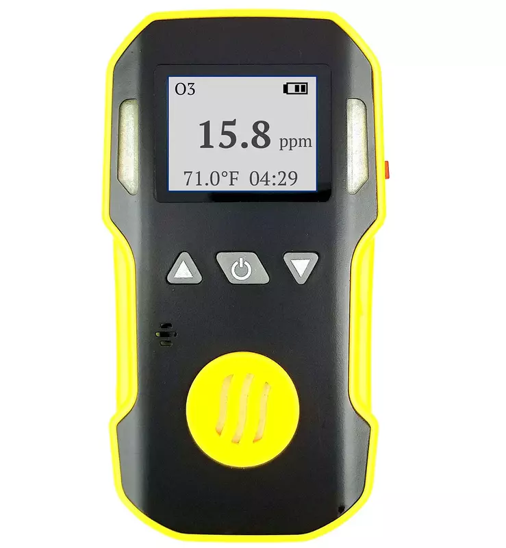 BH-90A-H2S 0-100PPM