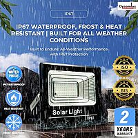 RGB Eagle 300w Solar Flood Light