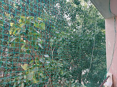 3 LAYER SAFETY NETS