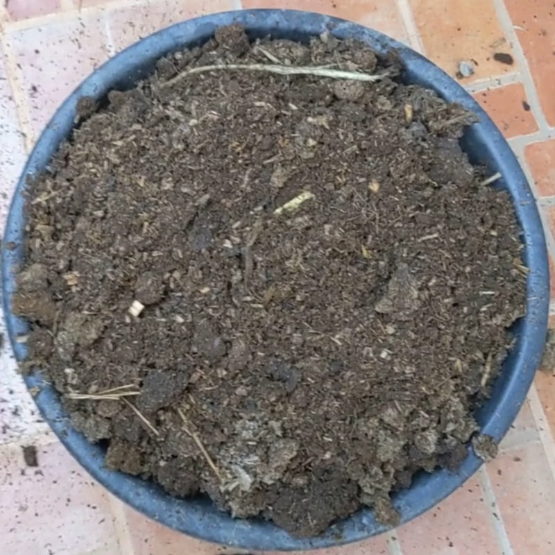 25 kg Aged Cow Manure 25 kg Aged Cow Manure