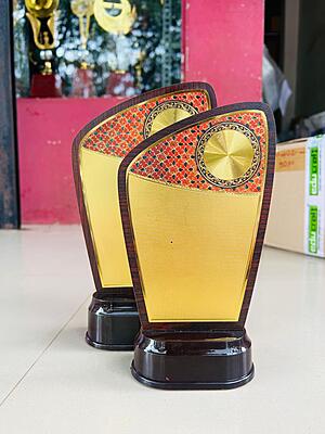 RC-WL4568C 22.50CM