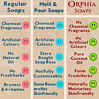 BODY OIL & 5 HERBS BATH BARS COMBO