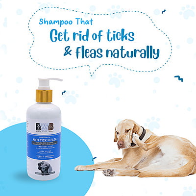 BWB ANTI-TICK SHAMPOO