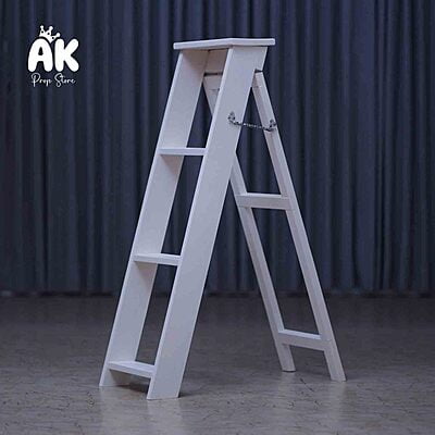 Big Ladder Big Ladder