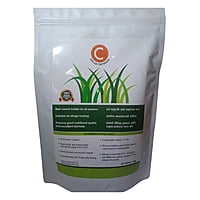C African tall Maize - Fodder (1Kg)