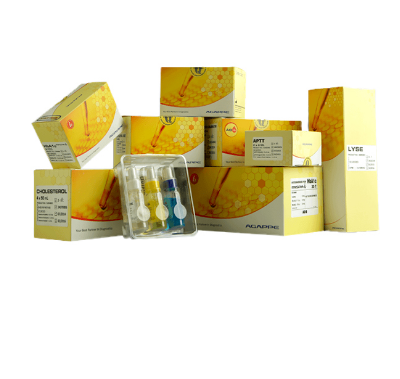 Agappe Alkaline Phosphatase (S.L)