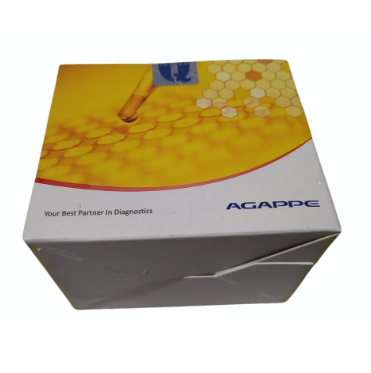 Agappe Albumin (4*50ml)