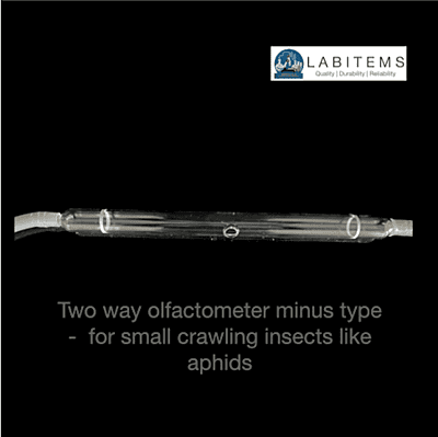 Two way olfactometer minus type for studying small insects Two way olfactometer minus type for studying small insects