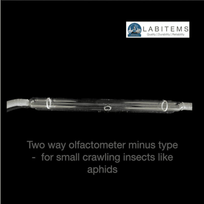 Two way olfactometer minus type for studying small insects Two way olfactometer minus type for studying small insects