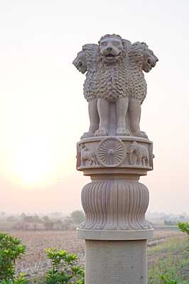 Lion Capital 16 feet height Lion Capital 16 feet height