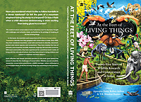 At the Feet of Living Things