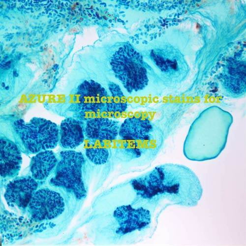 Azur II for Microscopy 10 gm CAS #8007?47?4 Azur II for Microscopy 10 gm CAS #8007?47?4