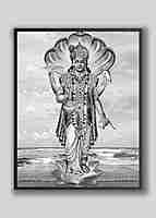 NARAYANA