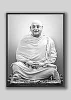 Swami Divyananda