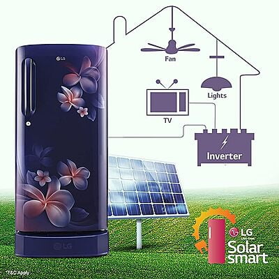LG 185 L 5 Star Inverter Direct-Cool Single Door Refrigerator (GL-D201ABPU, Blue Plumeria,