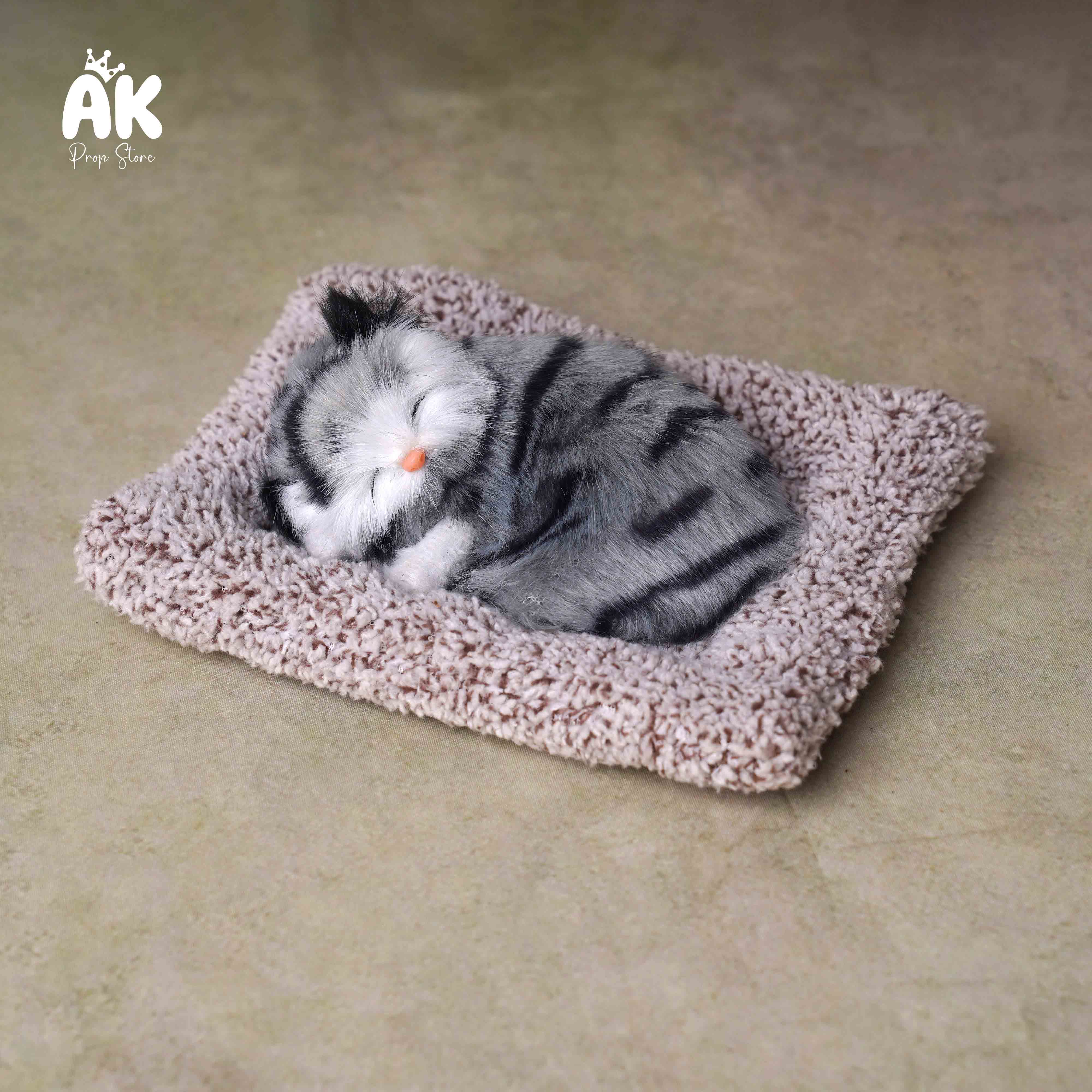 Sleeping Cat Sleeping Cat