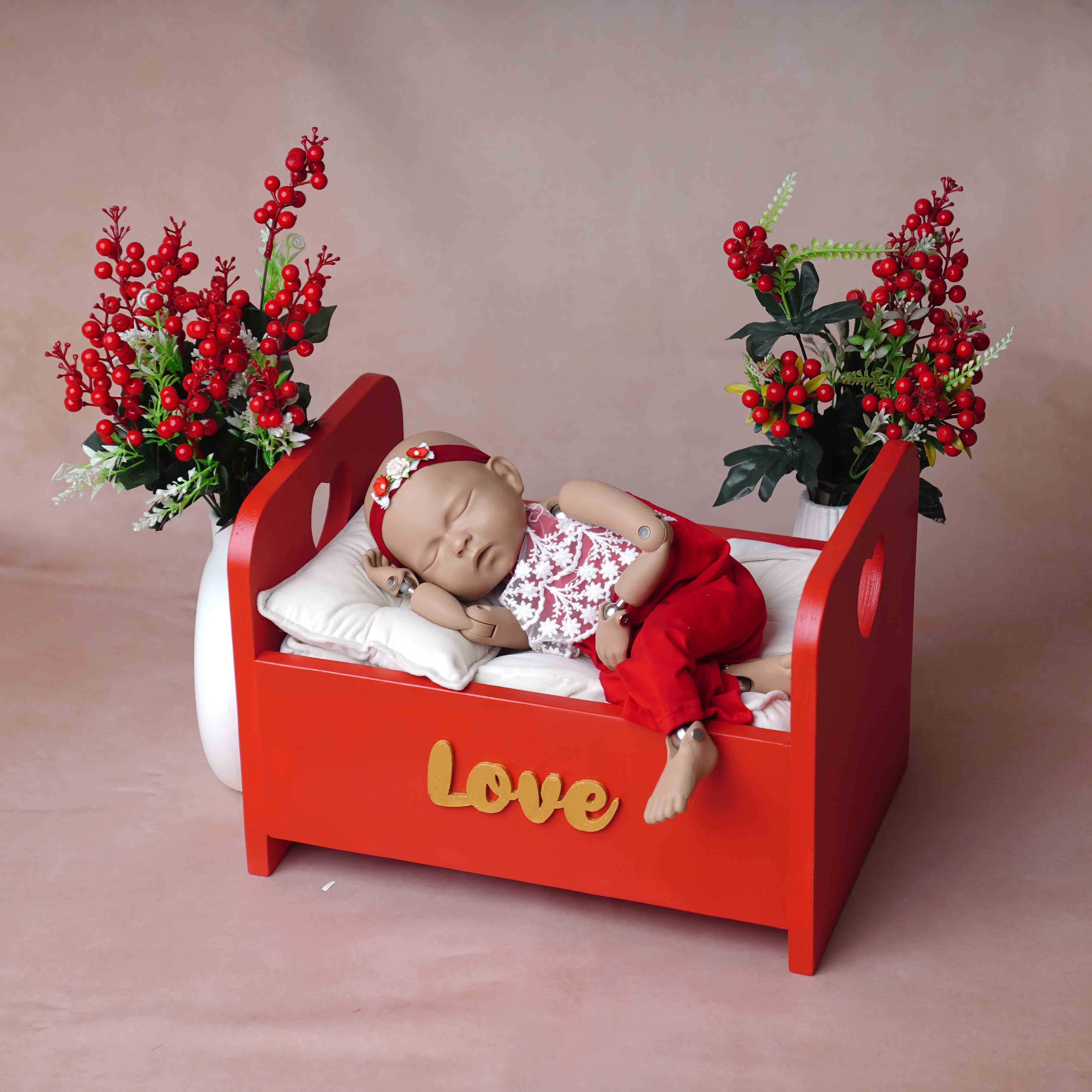 Valentine Theme - Newborn