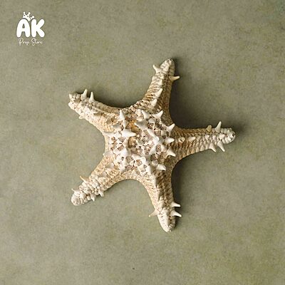 Star Fish