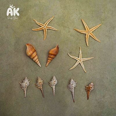 Seashell Pack
