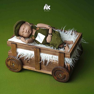 Pull Cart Theme - New Born