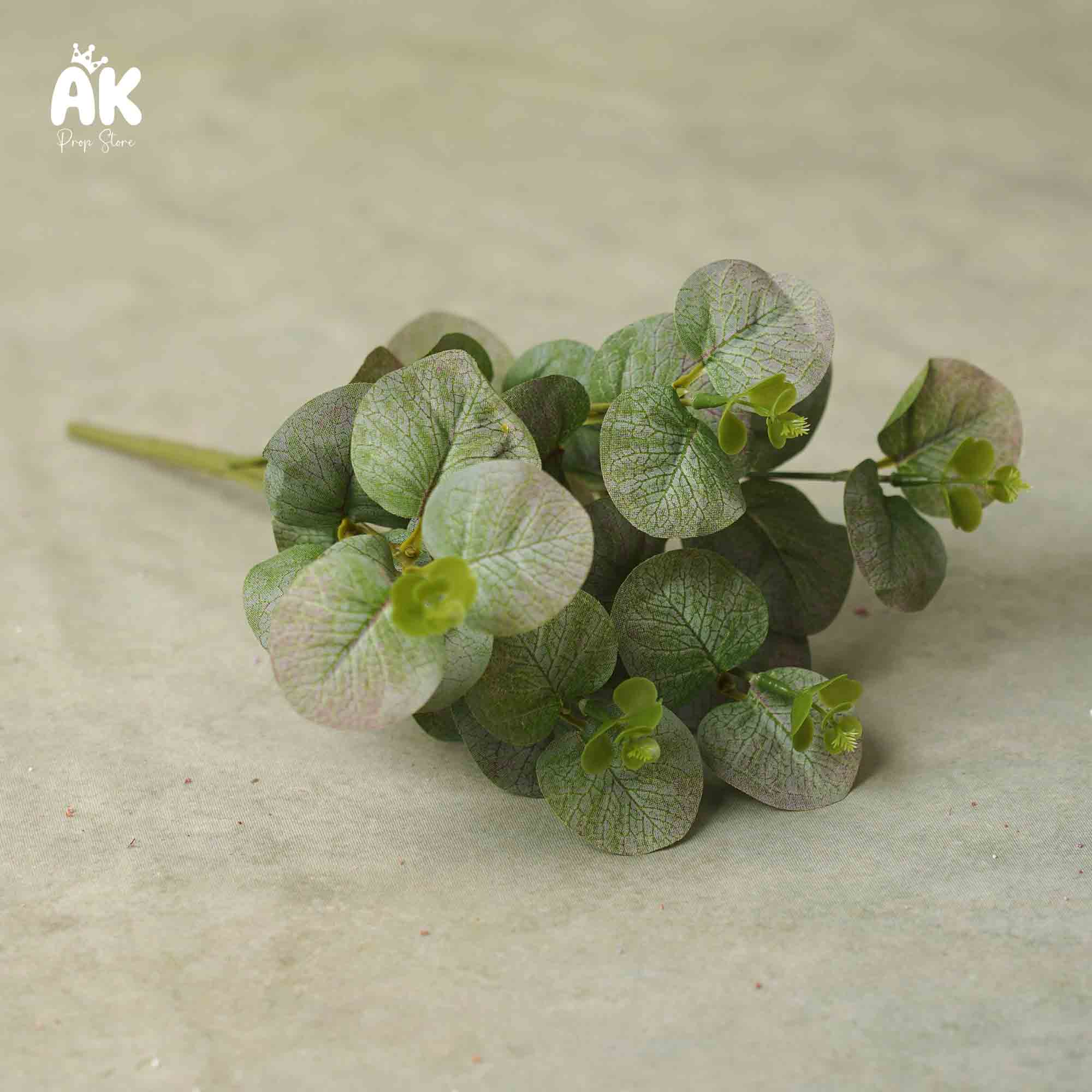 Small Eucalyptus bunch Small Eucalyptus bunch
