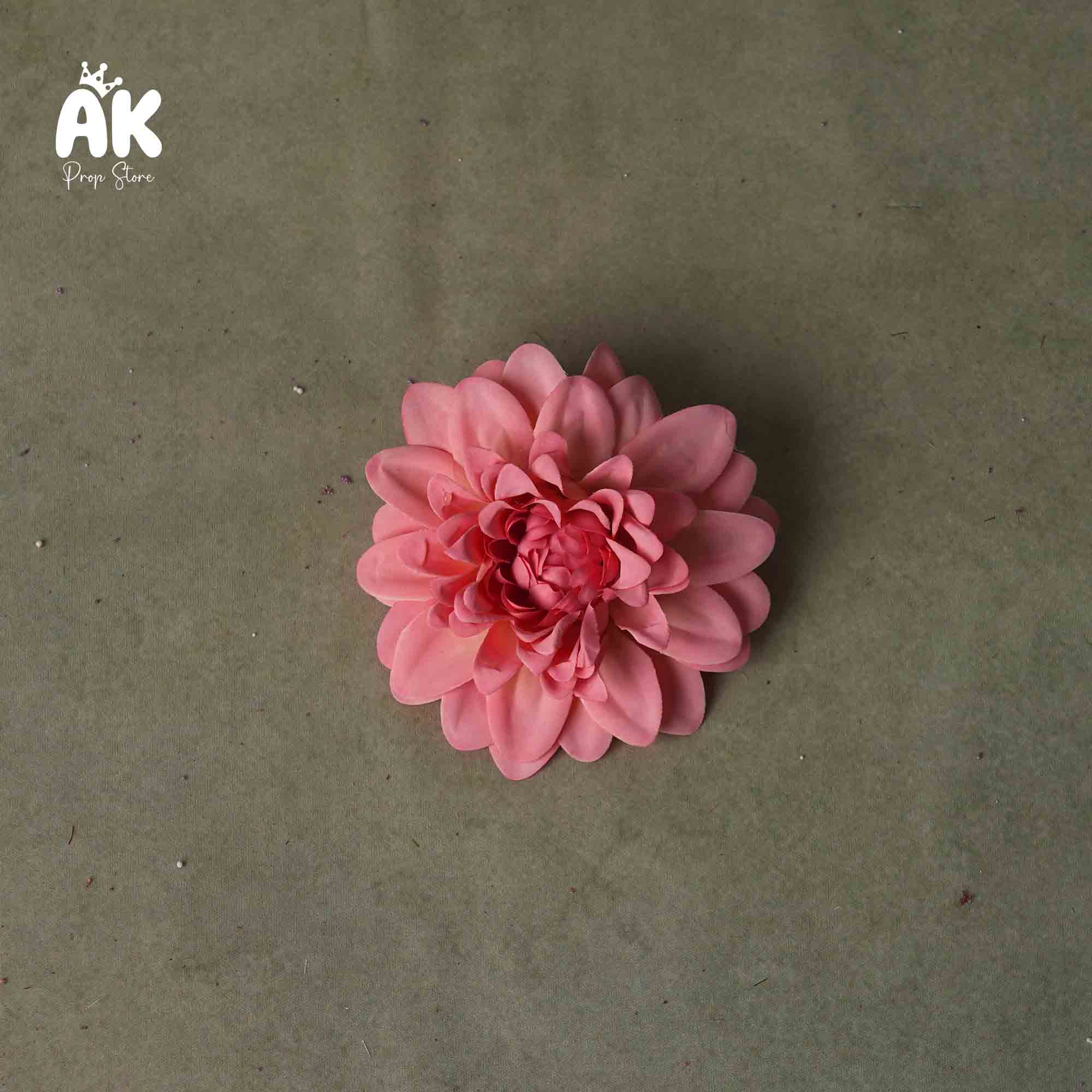 Single Dahlia