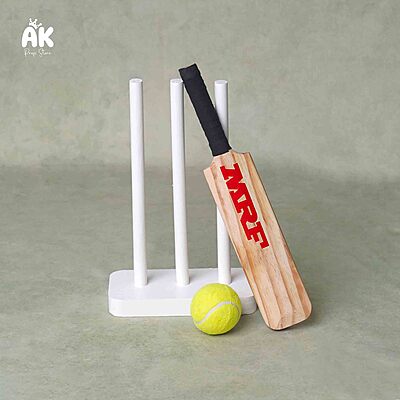 Cricket Bat Set