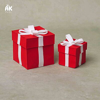 Felt Gift Boxes Set of 02 Felt Gift Boxes Set of 02