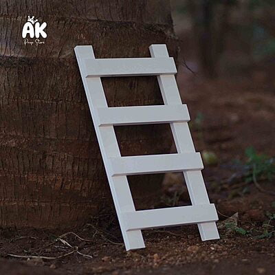 Tiny Ladder Tiny Ladder