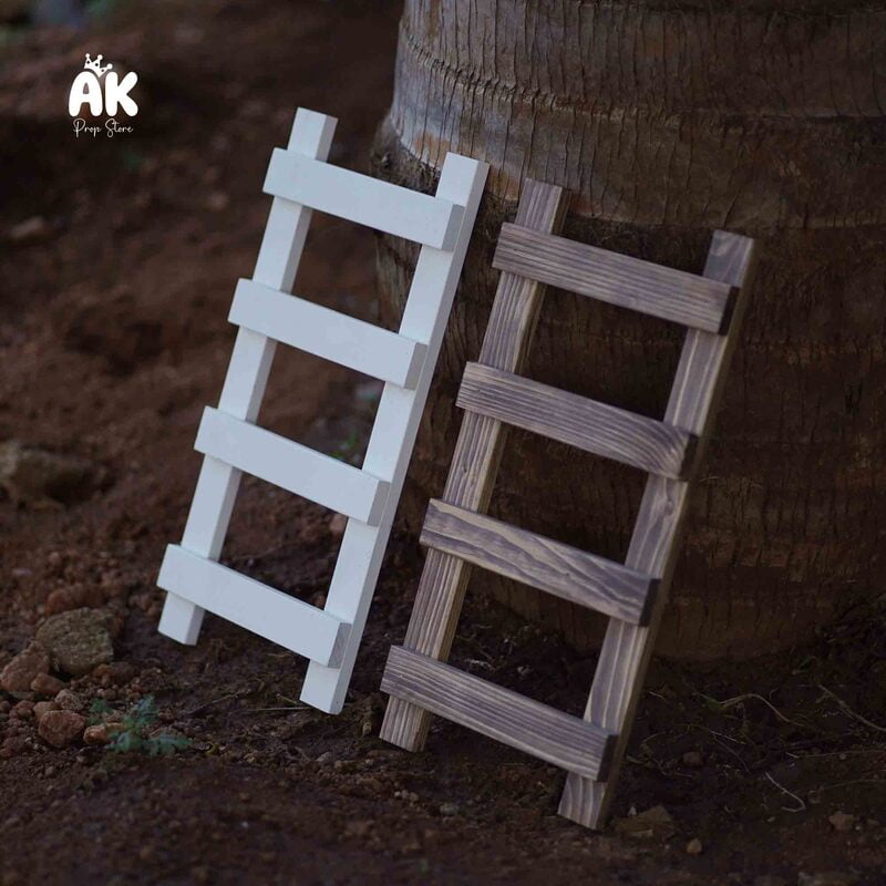 Tiny Ladder