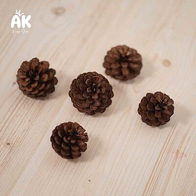Pine Cones- Set of 5