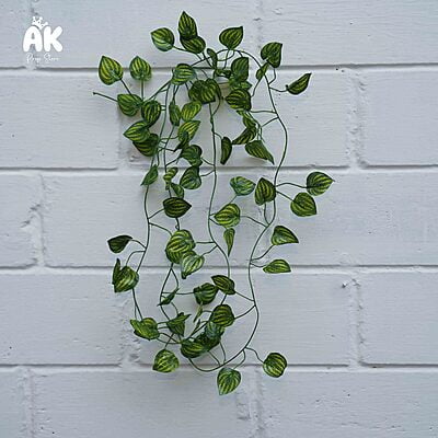 Ivy Creeper