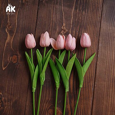 Tulips - 5 Sticks