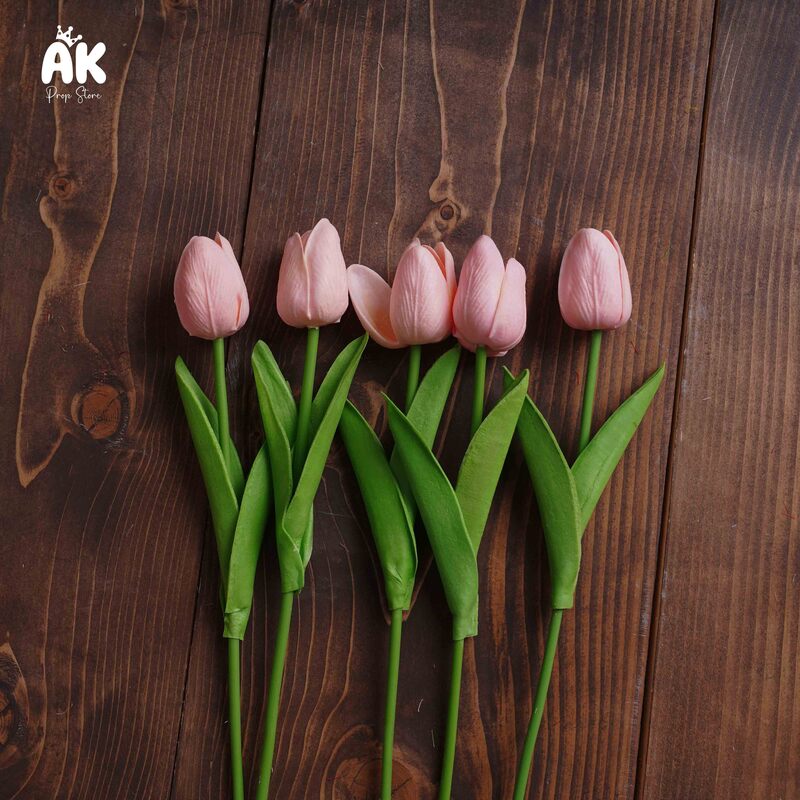Tulips - 5 Sticks