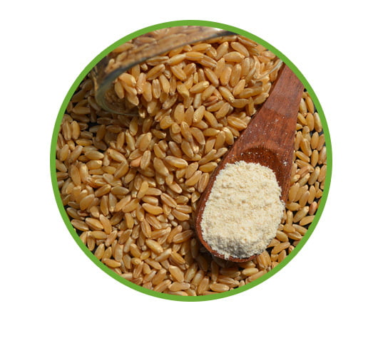 Bansi Wheat Flour (Extra Fiber)-1 KG Bansi Wheat Flour (Extra Fiber)-1 KG