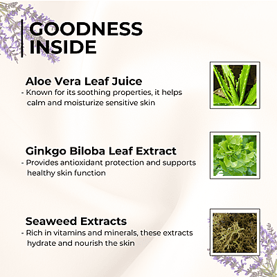 Seaweed Body Cream Seaweed Body Cream