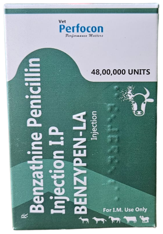 BENZATHINE PENICILLIN INJ 48 LAKH ( long acting) BENZATHINE PENICILLIN INJ 48 LAKH ( long acting)