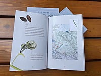 Last Ones Standing: Eleven threatened trees of the Western Ghats rainforests Last Ones Standing: Eleven threatened trees of the Western Ghats rainforests