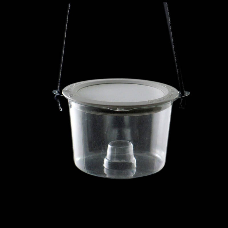 Insect Bait Trap w/ Nylon or Wire Mesh Screen Insect Bait Trap w/ Nylon or Wire Mesh Screen