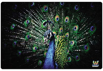 Beautiful Peacock Wooden JP 252 Pcs