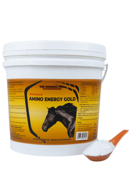 Bekwick Amino Energy Gold Bekwick Amino Energy Gold