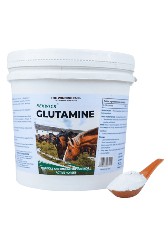 Bekwick Glutamine - 1Kg Bekwick Glutamine - 1Kg